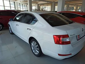 Drs Tuning Skoda Octavia Uyumlu 2015-2019 Cam Çıtası Nikelaj - Görsel 4