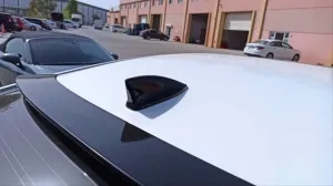 Balık Sırtı Uyumlu Boyasız thumb 2