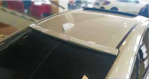 Balık Sırtı Uyumlu Boyasız thumb 3