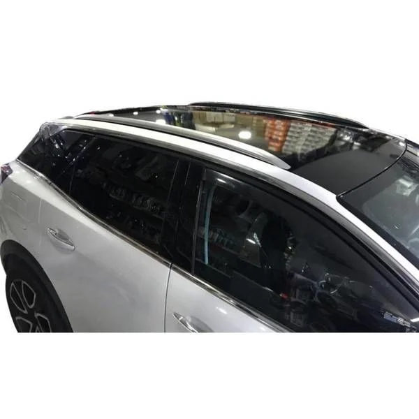 Drs Tuning Peugeot 3008 Uyumlu Tavan Çıtası Alüminyum -2016 Özel Skyport