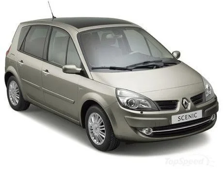 Coil-Ex Renault Uyumlu Scenic 2 2005 - Sonrası Spor Yay 50 / 50 Mm