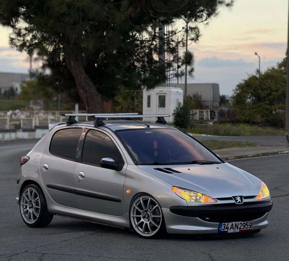 Drs Tuning Coil-Ex Peugeot  206 06.1999-Sonrası Spor Yay 45 Mm